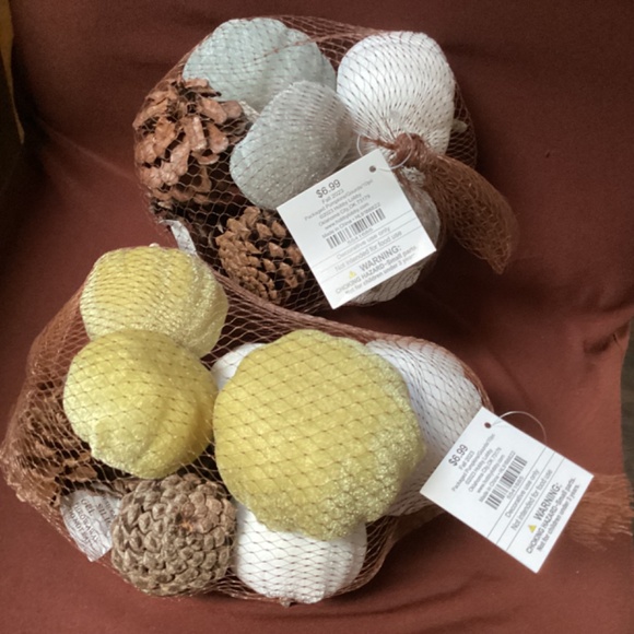 Fall 2023 Packaged Pumpkins/Gourds/10 pc New With Tag - Picture 2 of 8